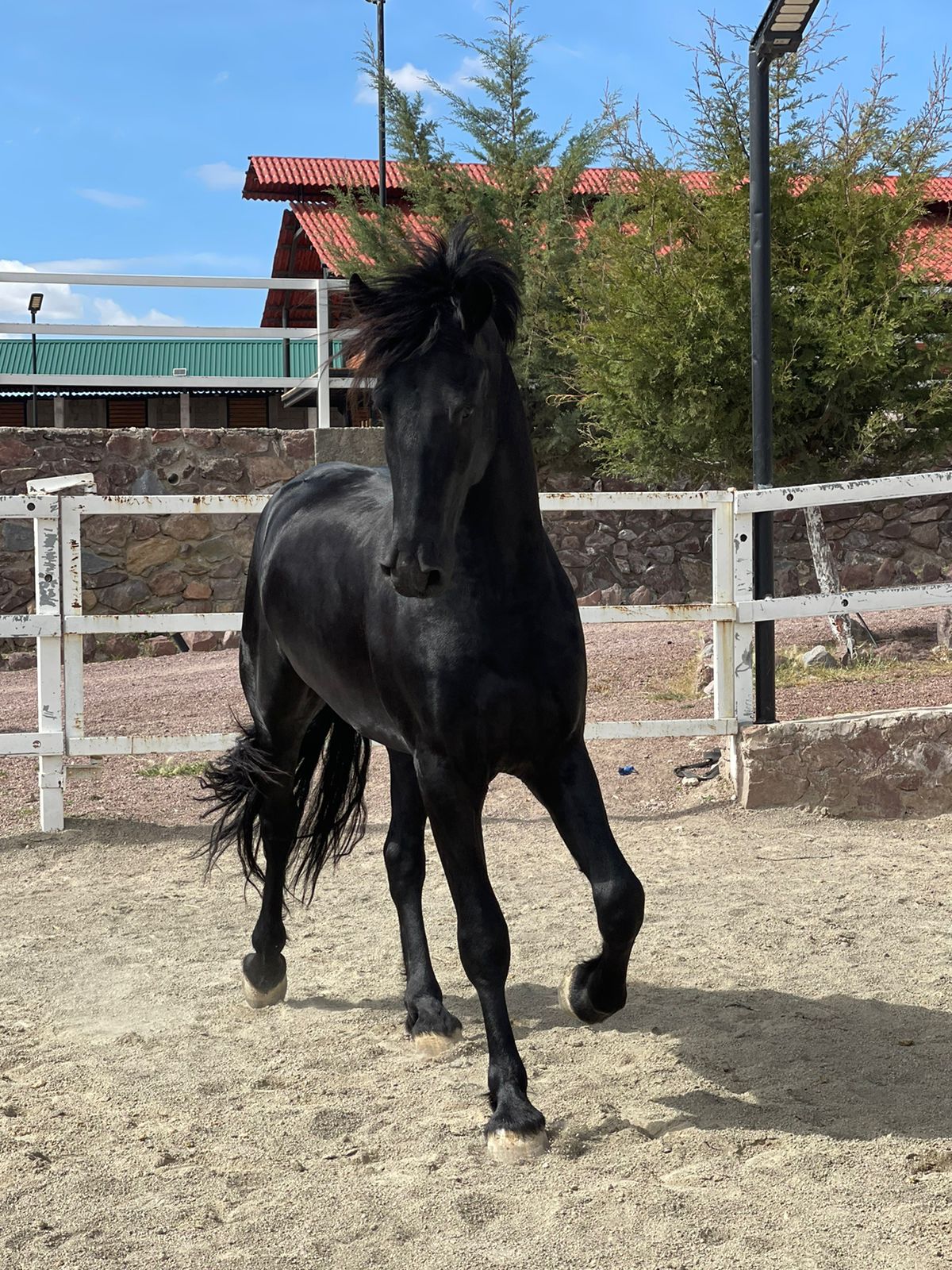 WhatsApp Image 2024-11-21 at 2.13.47 PM (1)