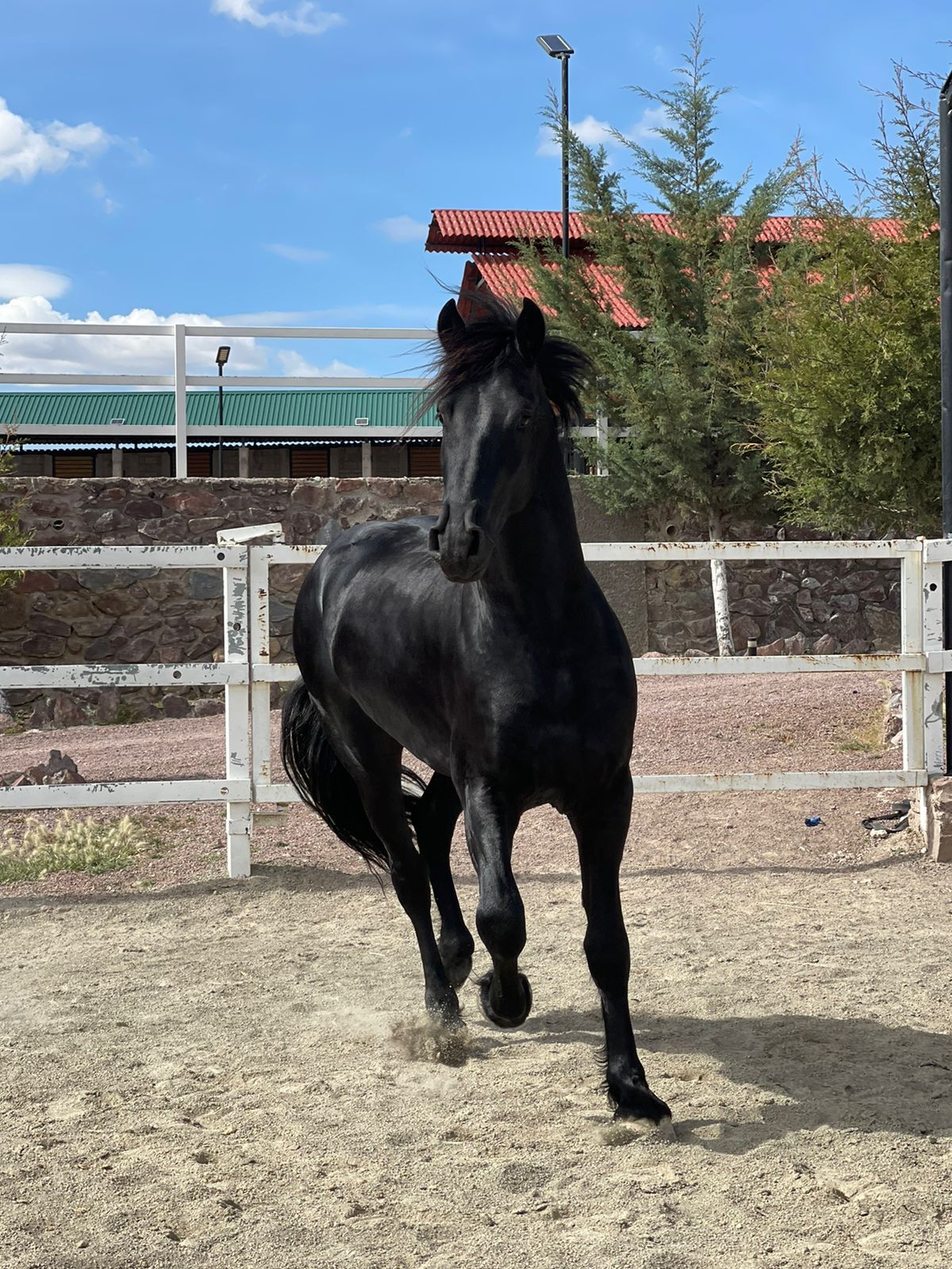 WhatsApp Image 2024-11-21 at 2.13.47 PM