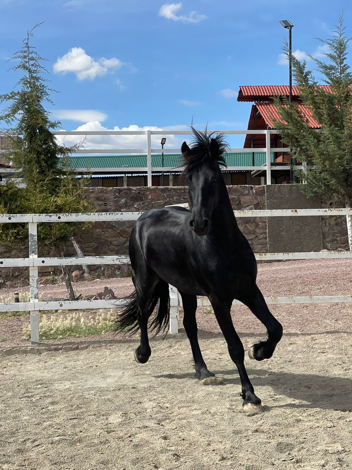 WhatsApp Image 2024-11-21 at 2.13.48 PM (1)