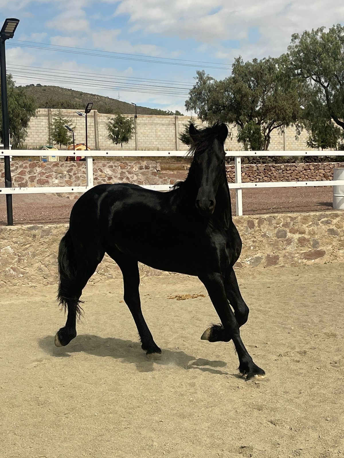 WhatsApp Image 2024-11-21 at 2.13.48 PM