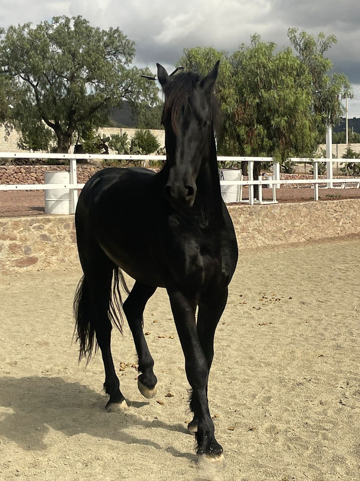 WhatsApp Image 2024-11-21 at 2.13.49 PM (1)