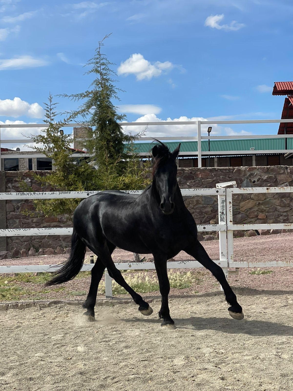 WhatsApp Image 2024-11-21 at 2.13.49 PM