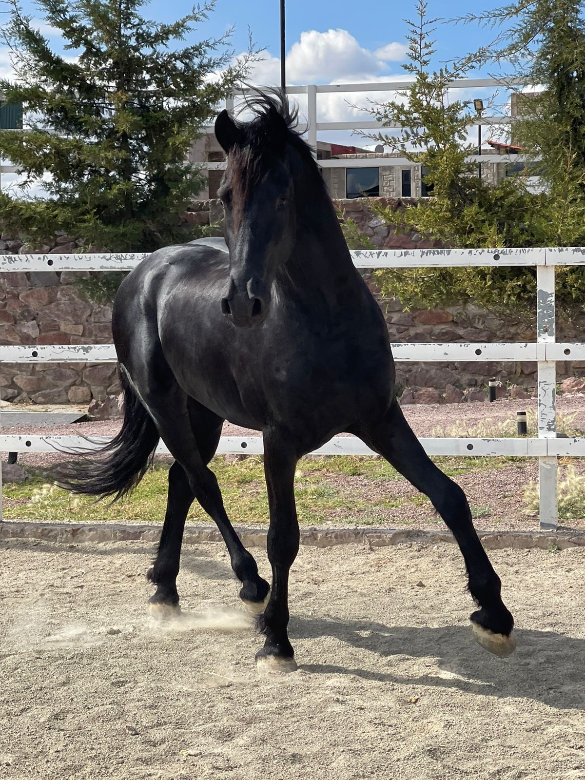 WhatsApp Image 2024-11-21 at 2.13.50 PM (1)