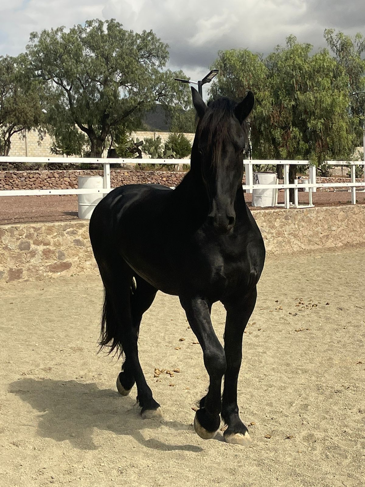 WhatsApp Image 2024-11-21 at 2.13.50 PM