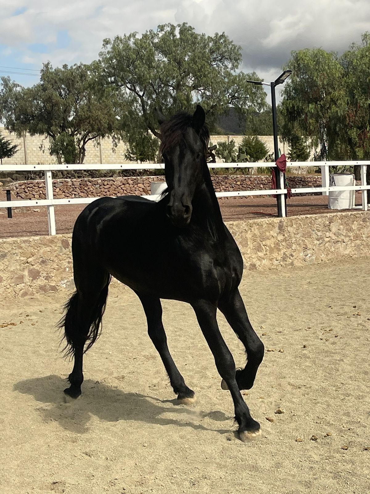 WhatsApp Image 2024-11-21 at 2.13.51 PM