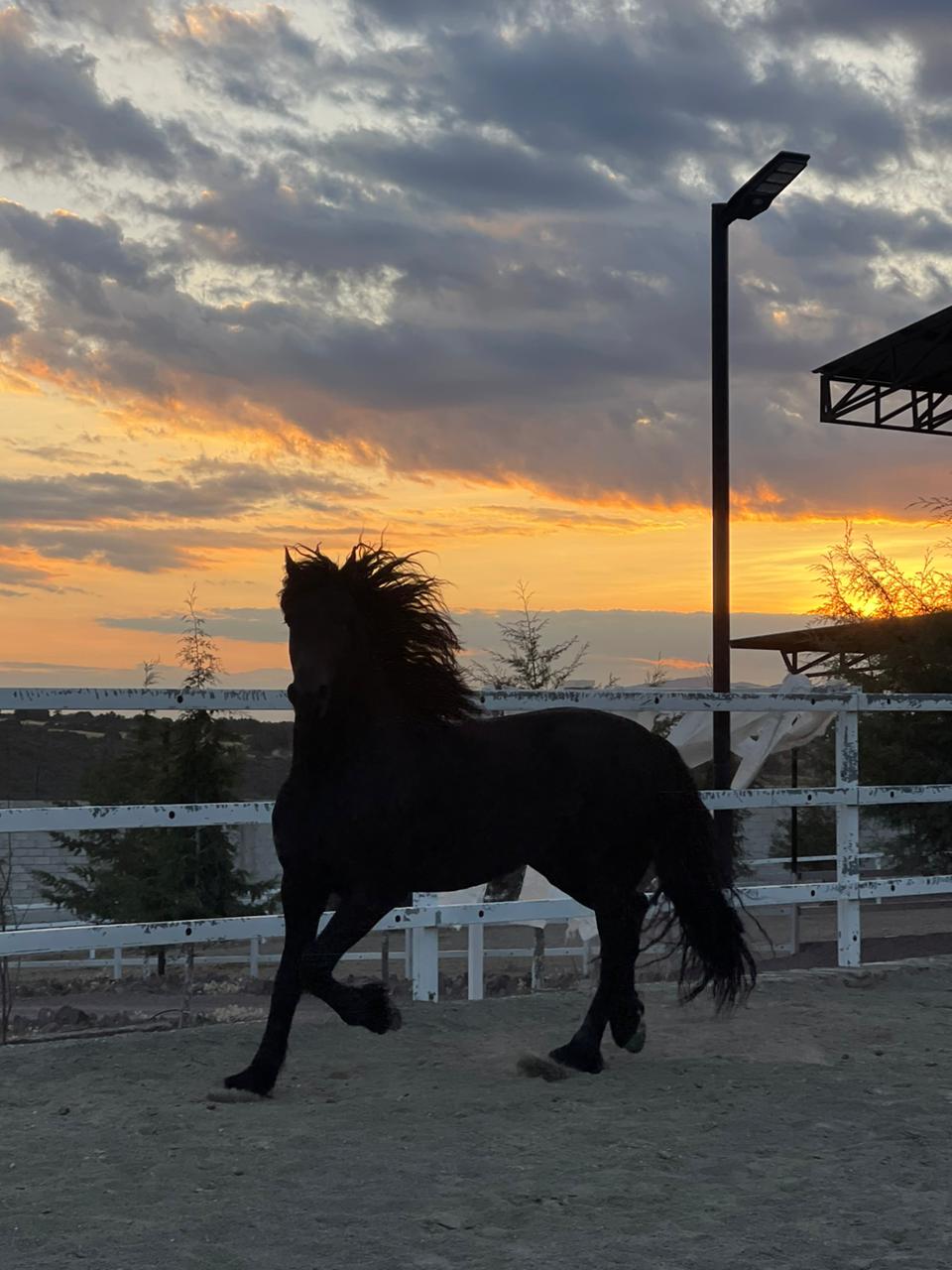 WhatsApp Image 2024-11-22 at 2.05.54 PM (3)