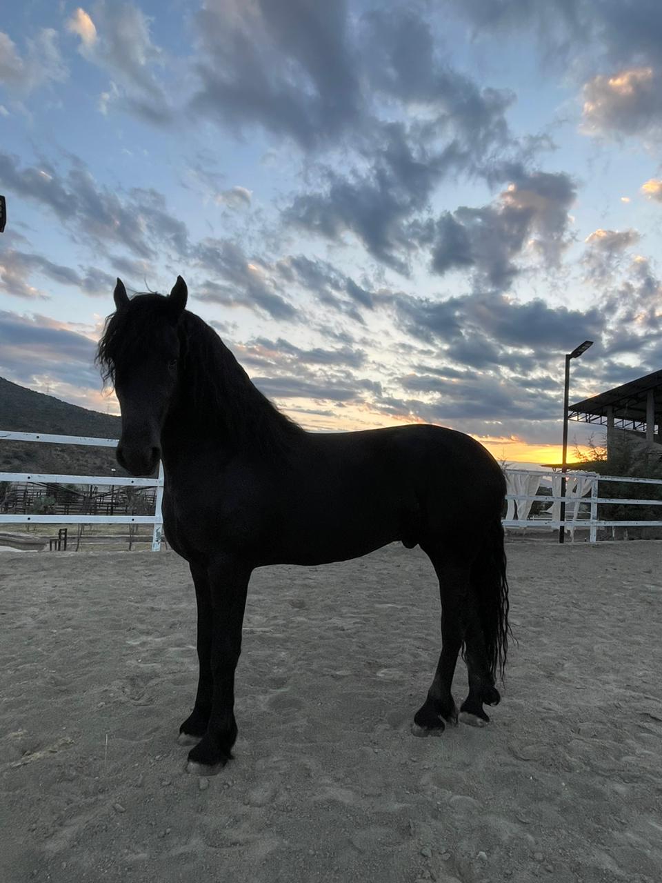 WhatsApp Image 2024-11-22 at 2.05.54 PM (4)