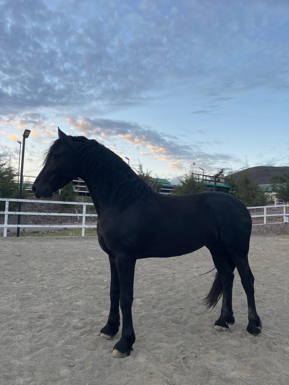 WhatsApp Image 2024-11-22 at 2.05.54 PM (5)