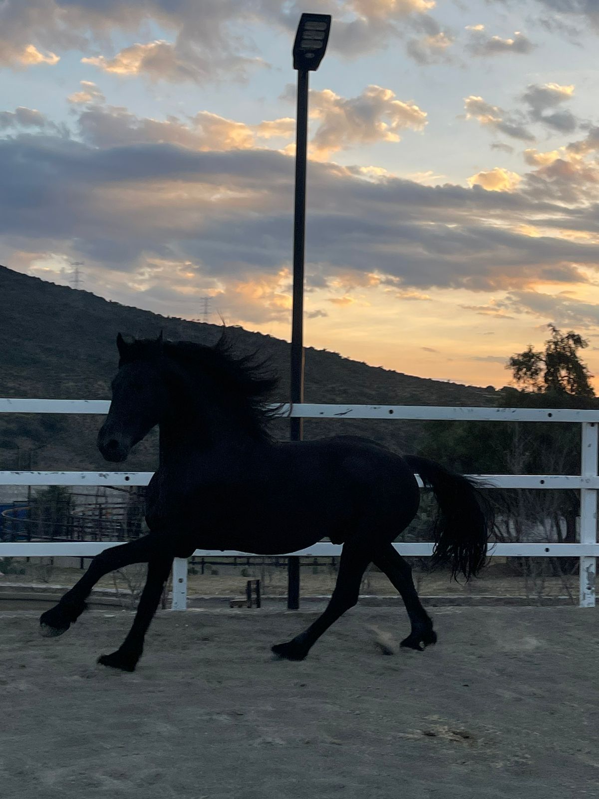 WhatsApp Image 2024-11-22 at 2.05.54 PM