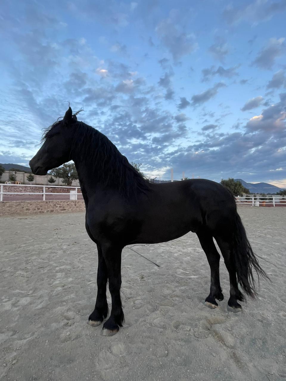 WhatsApp Image 2024-11-22 at 2.05.55 PM